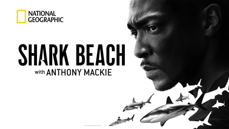 Shark Beach with Anthony Mackie Poster