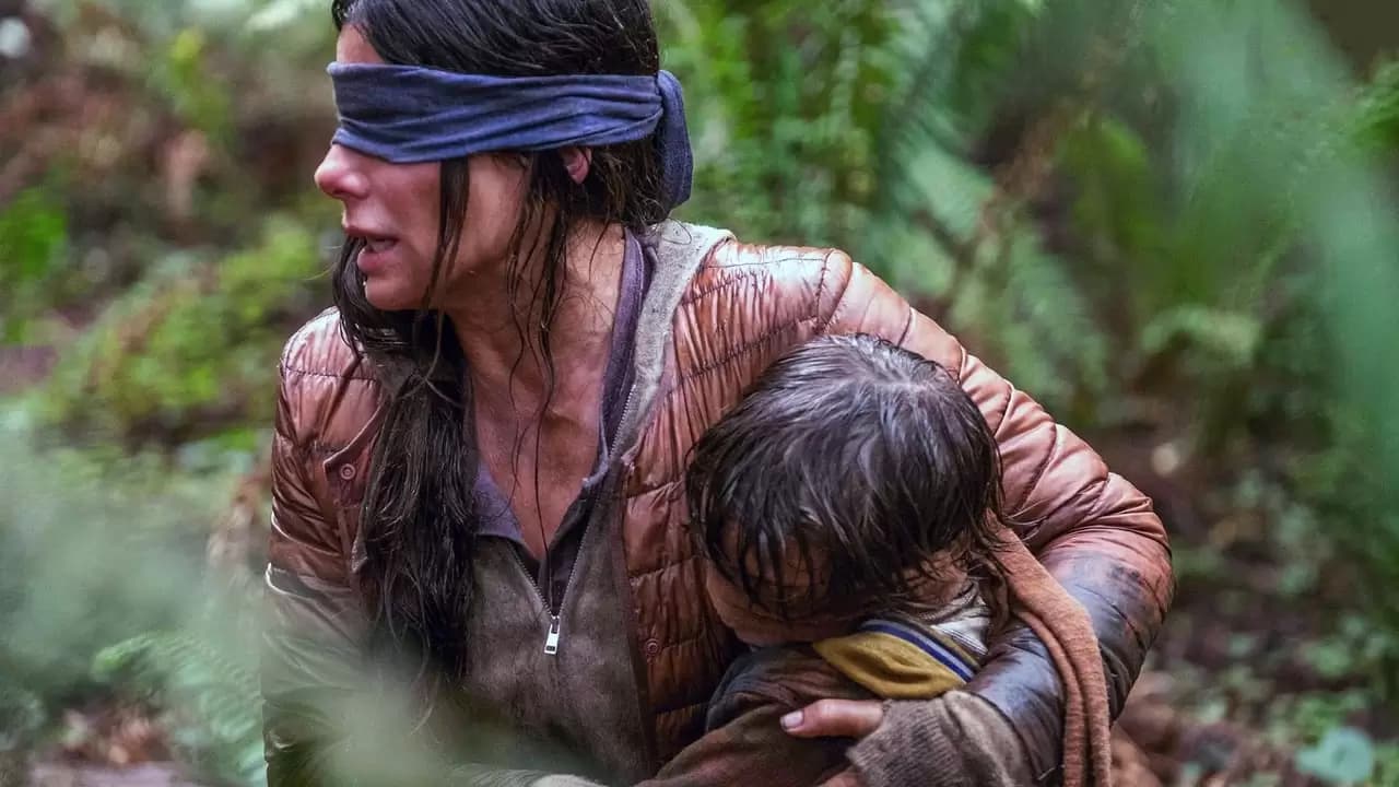 Bird Box Backdrop