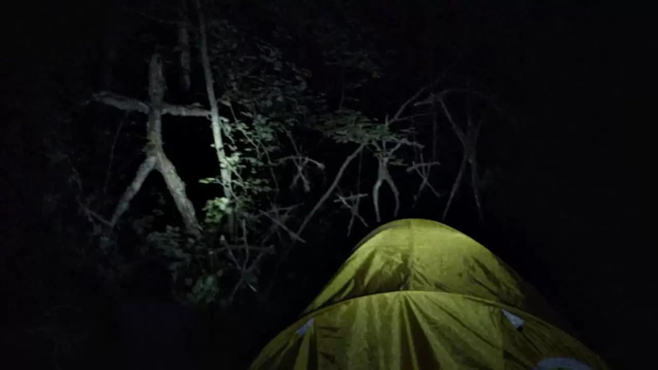The Blair Witch Project Backdrop
