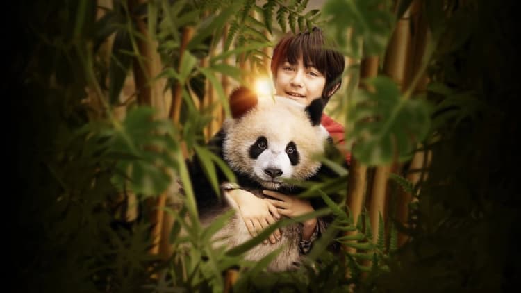 Moon the Panda Poster