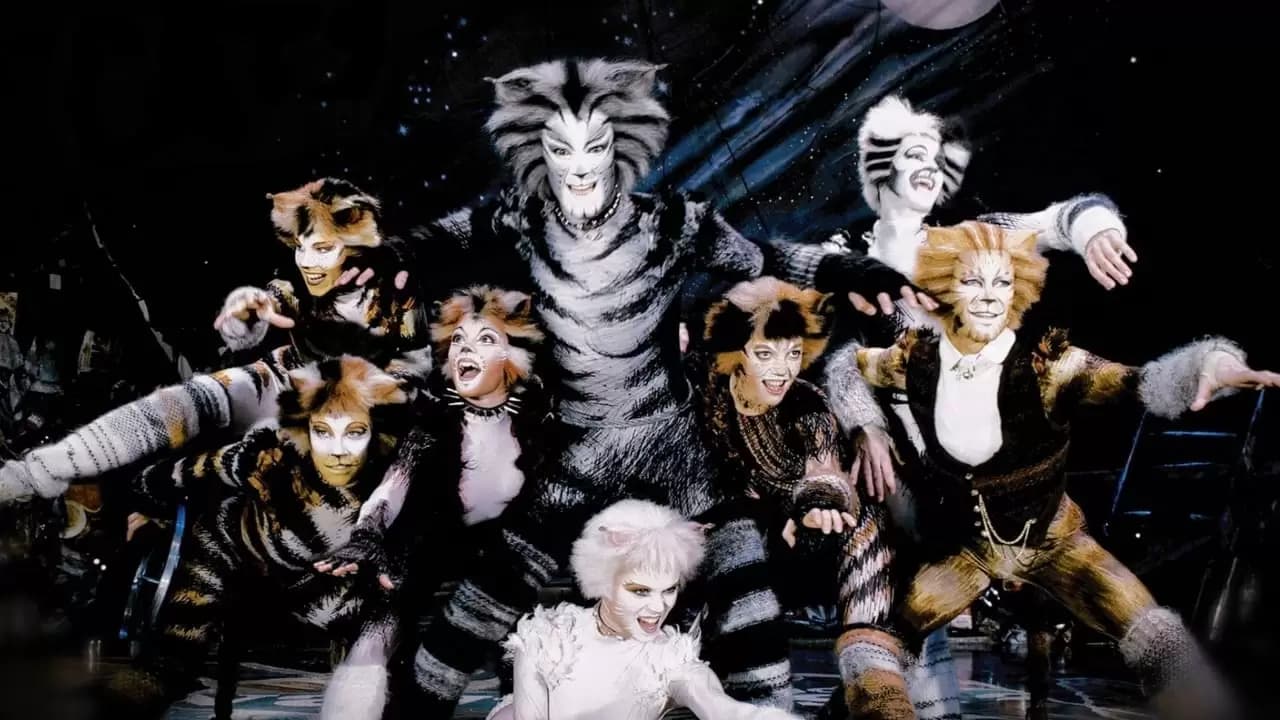 Cats Backdrop