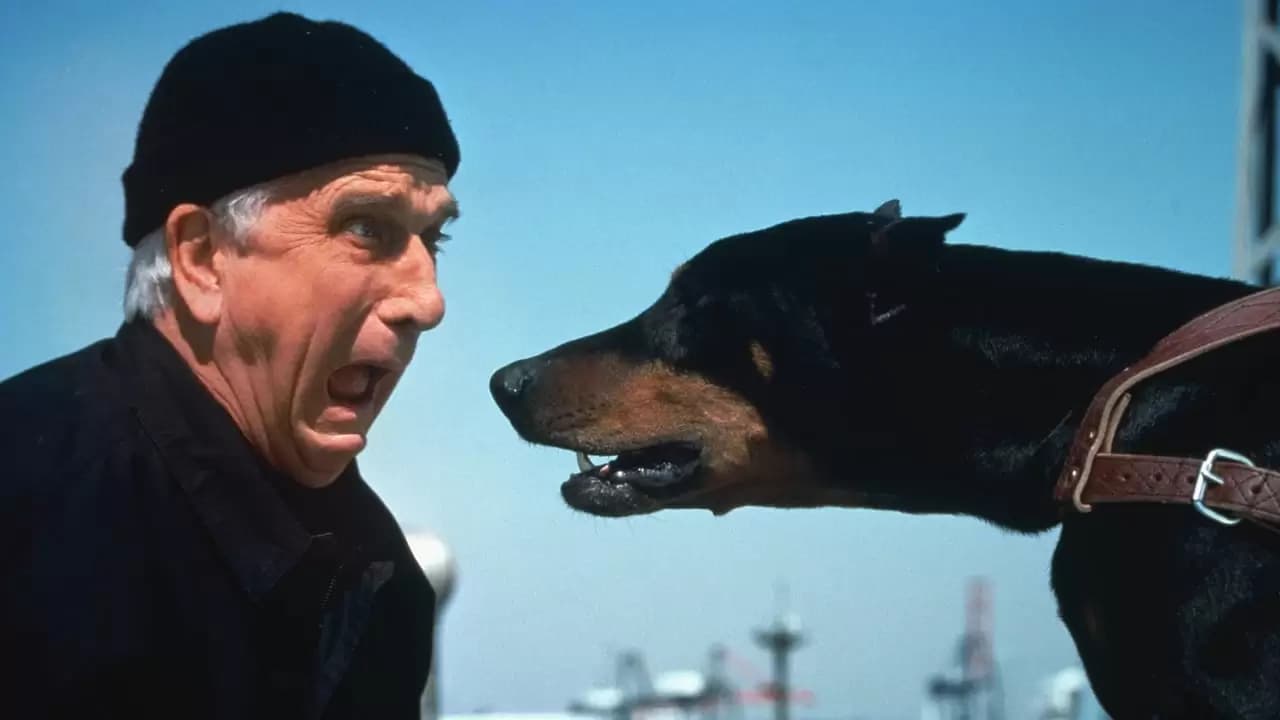 The Naked Gun 2½: The Smell of Fear Backdrop