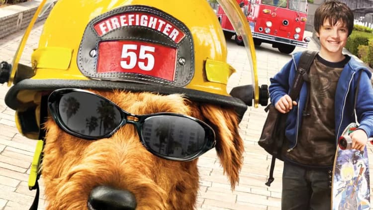 Firehouse Dog Poster