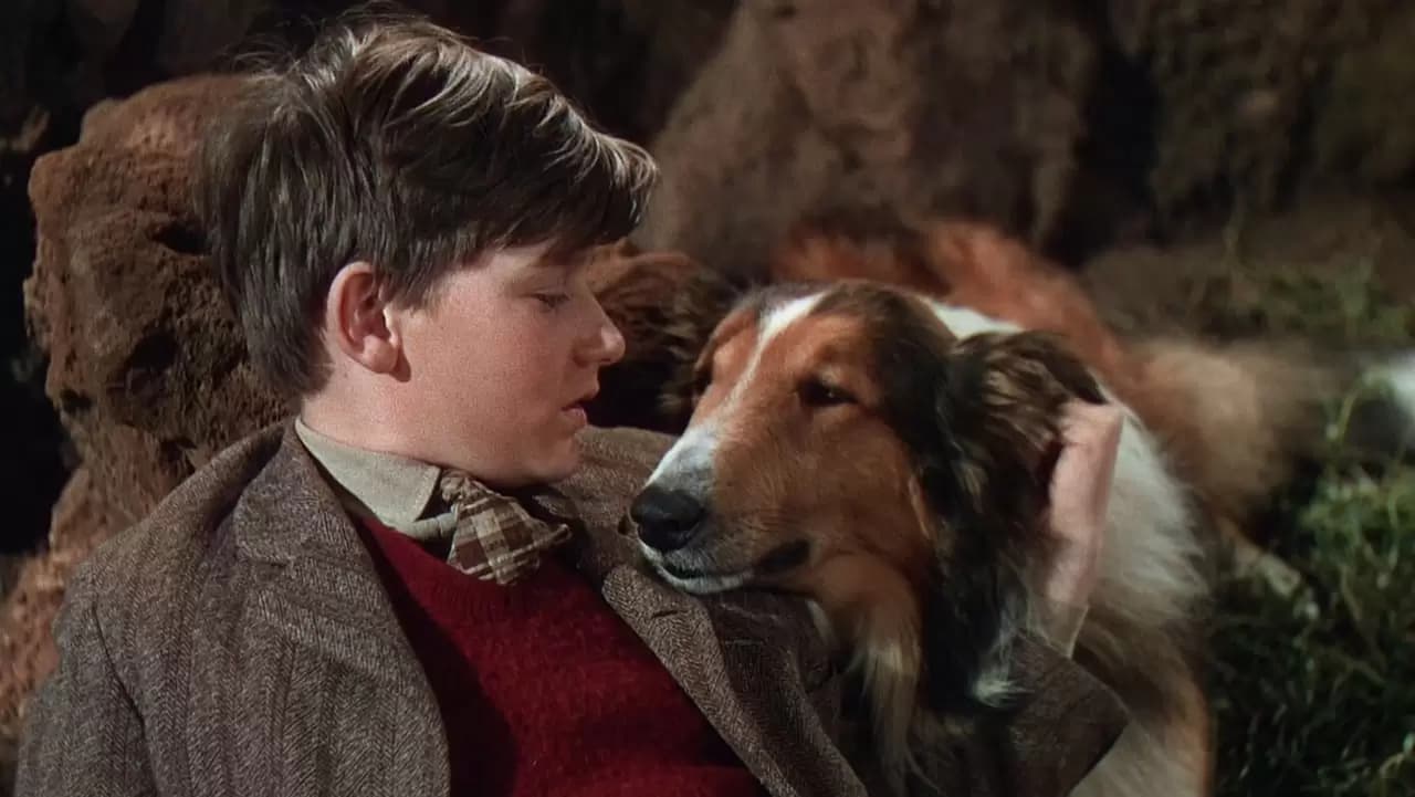 Lassie Come Home Backdrop