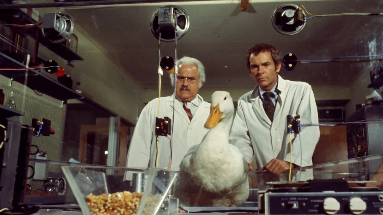 The Million Dollar Duck Backdrop