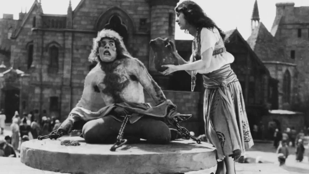 The Hunchback of Notre Dame Backdrop
