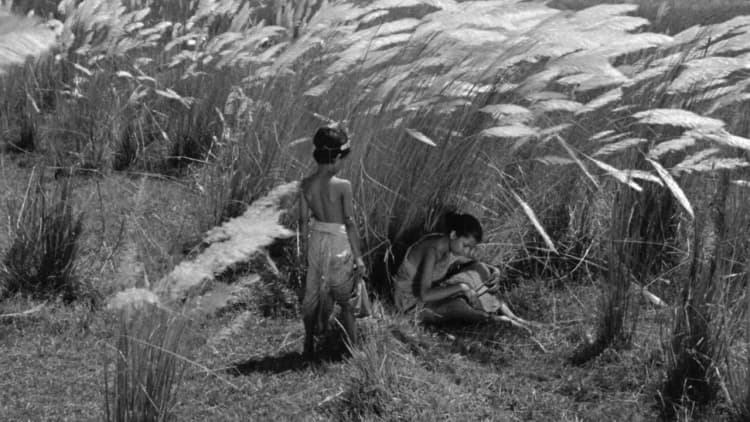 Pather Panchali Poster