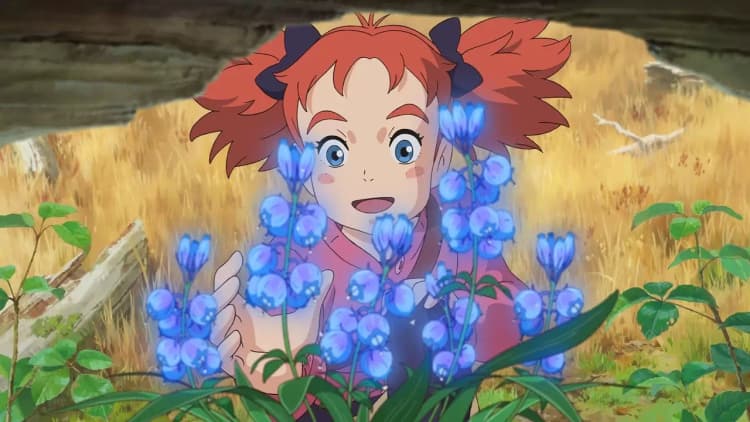 Mary and the Witch's Flower Poster