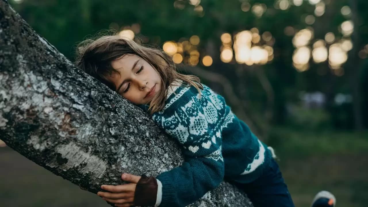 A New Kind of Wilderness Backdrop