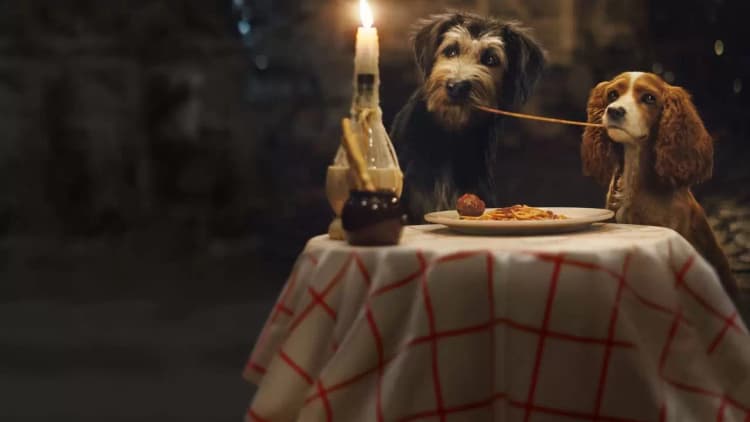 Lady and the Tramp Poster