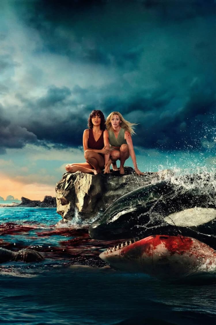 Killer Whale Poster