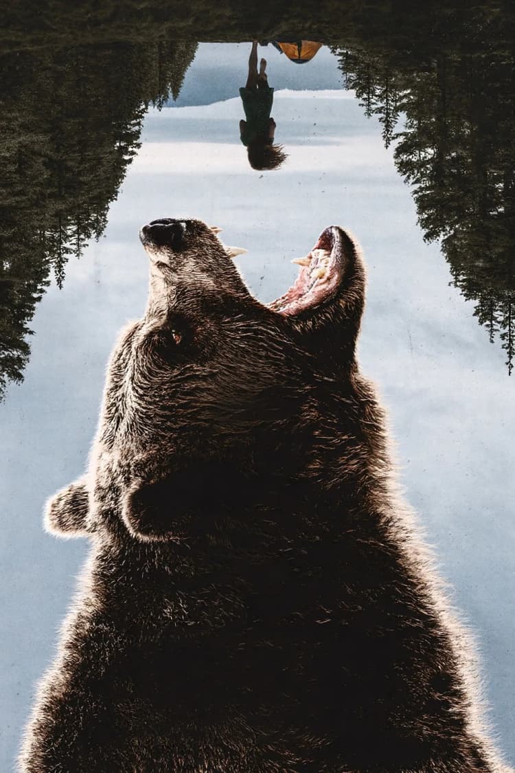 Grizzly Night Poster