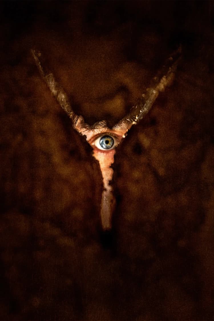 Return to Silent Hill Poster