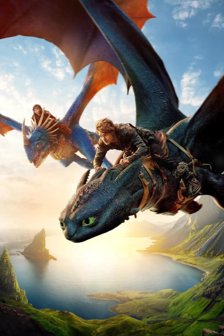 How to Train Your Dragon Poster
