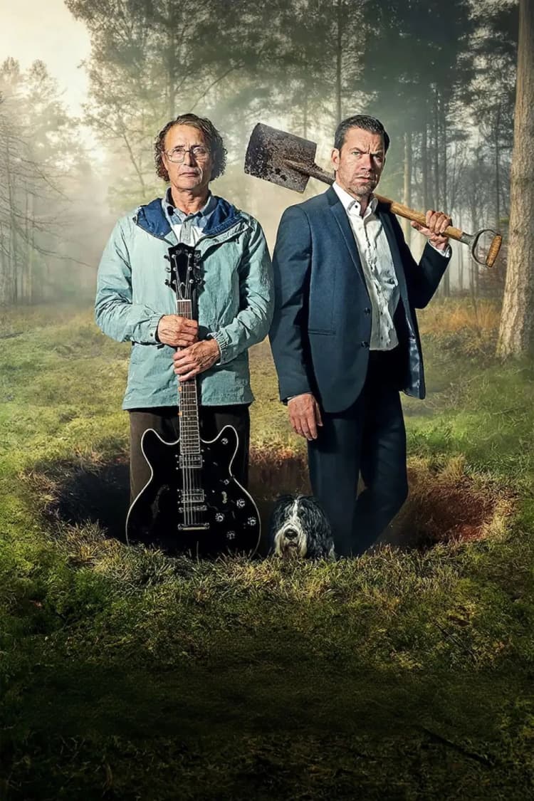 The Last Viking Poster