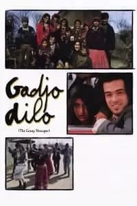 Gadjo dilo