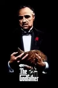 250 فیلم برترسایت IMDb #2