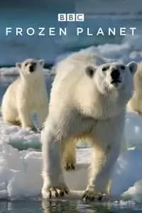 Frozen Planet