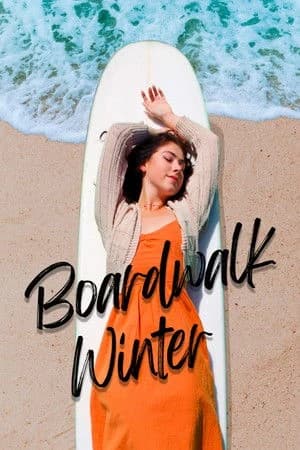 Boardwalk Winter Poster