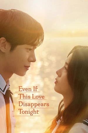 Even if This Love Disappears from the World Tonight Poster
