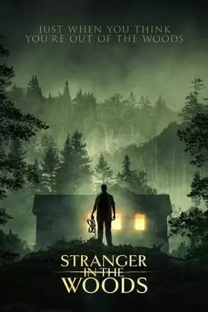 Stranger in the Woods Poster
