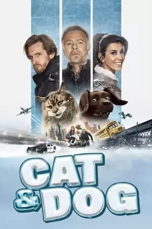 Cat and Dog Poster