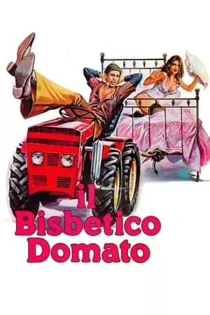 Il bisbetico domato Poster