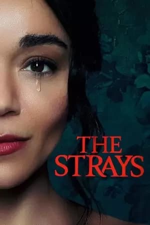 The Strays Poster