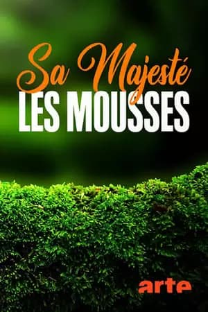 Sa Majesté les mousses Poster