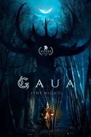 The Night Poster