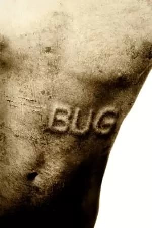 Bug Poster