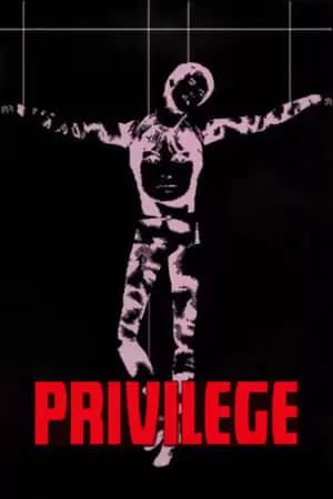 Privilege Poster