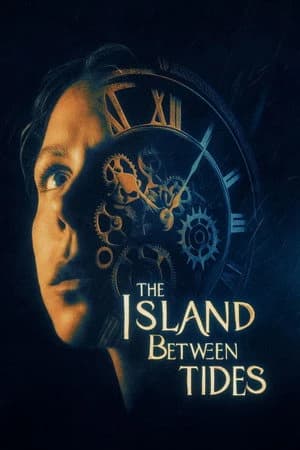 The Lost Daughter Poster