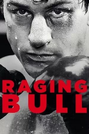 Raging Bull Poster