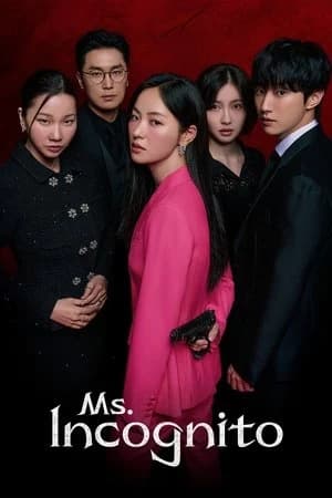 Ms. Incognito Poster