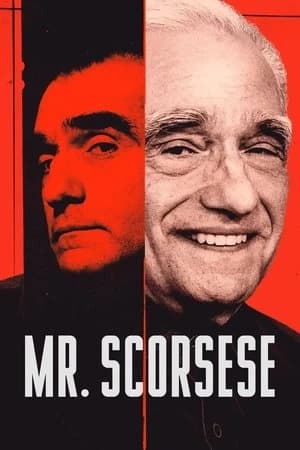 Mr. Scorsese Poster