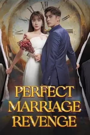 Perfect Marriage Revenge Poster