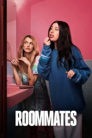 Roommates Poster