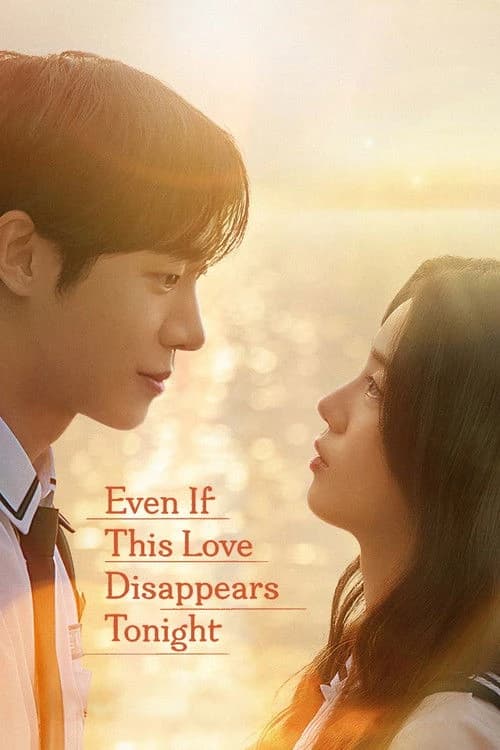 Even if This Love Disappears from the World Tonight Poster