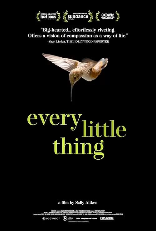Every Little Thing Poster