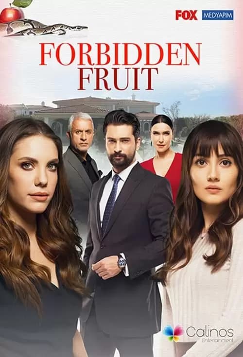 Yasak Elma Poster