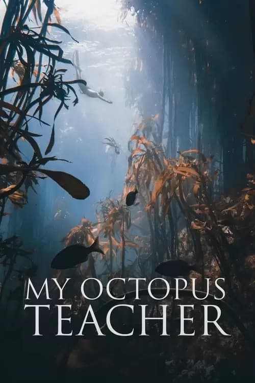 My Octopus Teacher Poster