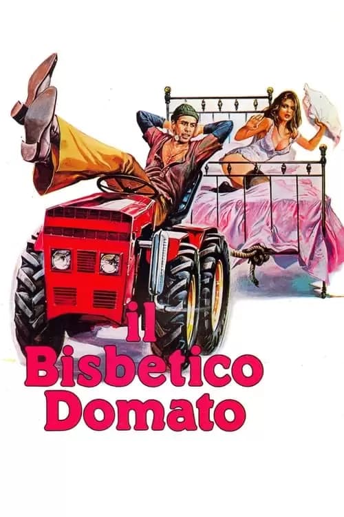 Il bisbetico domato Poster