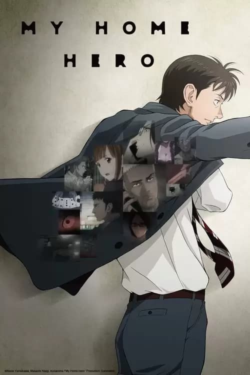 My Home Hero Poster