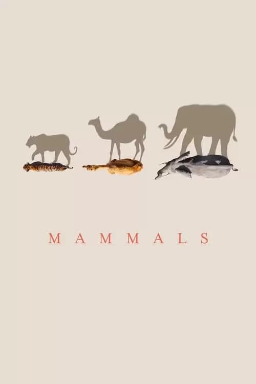 Mammals Poster