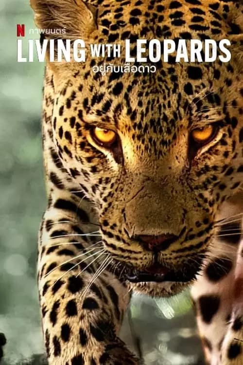 Living with Leopards Poster
