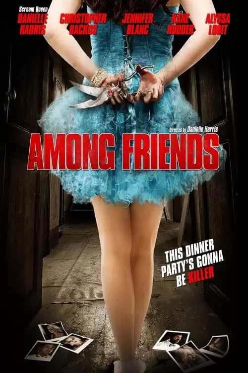 Among Friends Poster