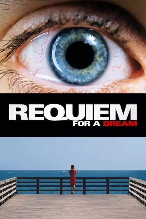 Requiem for a Dream Poster