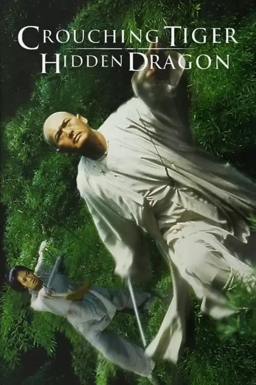 Crouching Tiger, Hidden Dragon Poster