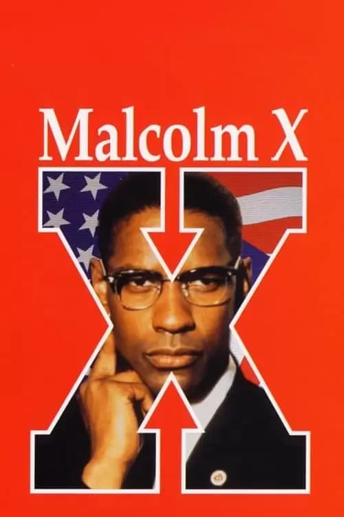 Malcolm X Poster